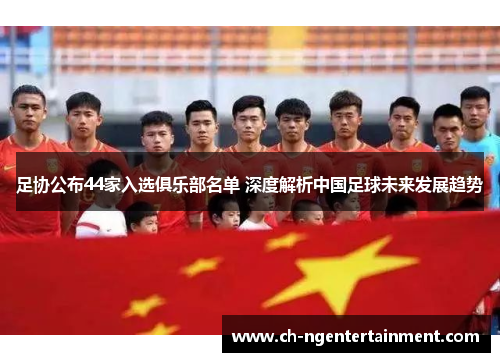 足协公布44家入选俱乐部名单 深度解析中国足球未来发展趋势